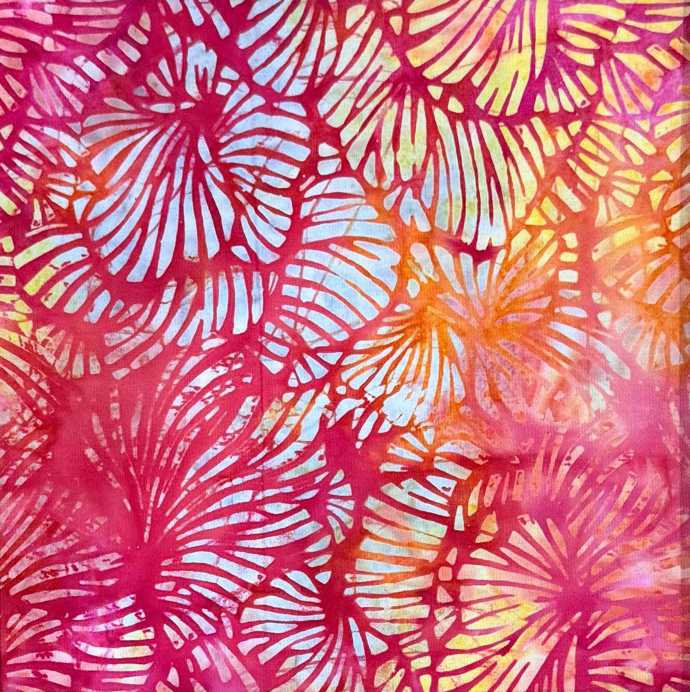 Tangerine Blooms Wholesale