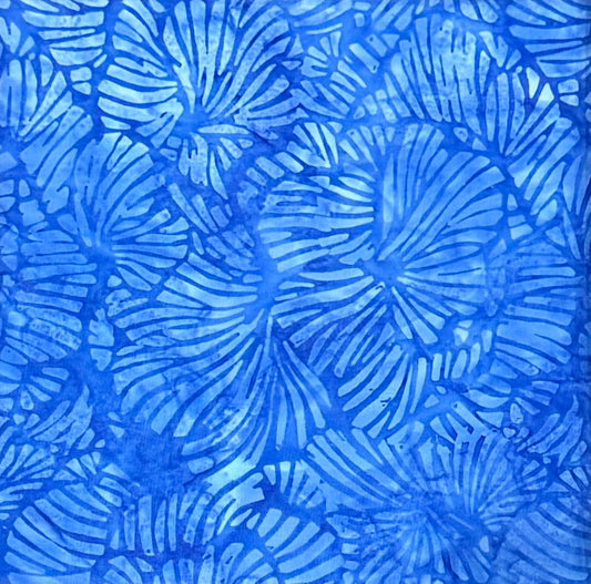 Sapphire Blooms Wholesale