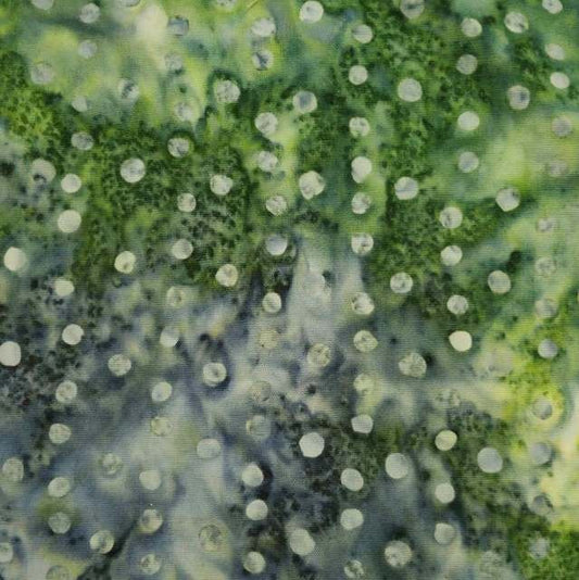 Dotted Seaweed (Wholesale)