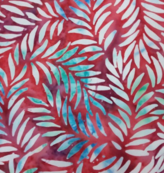 Crimson Fern (Wholesale)