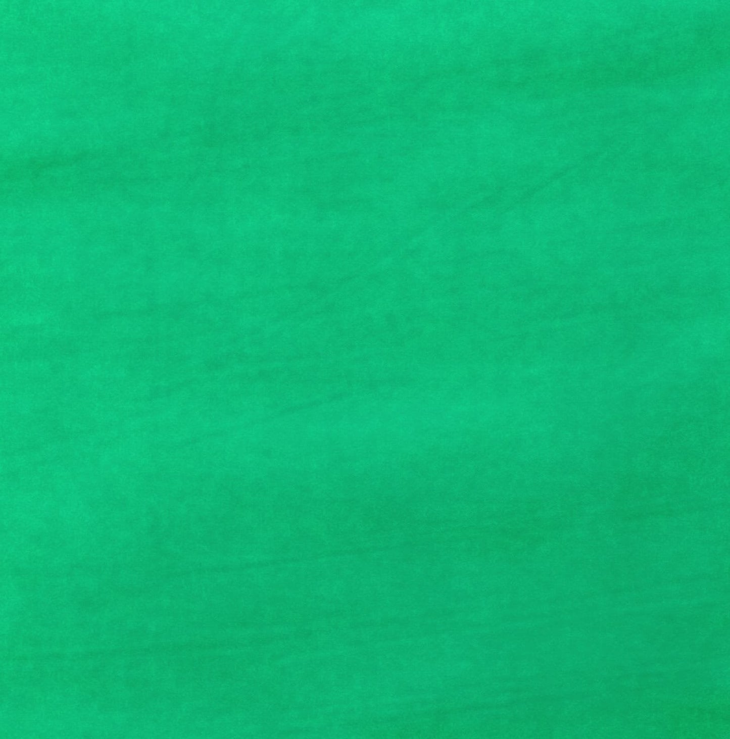 Shamrock (Wholesale)